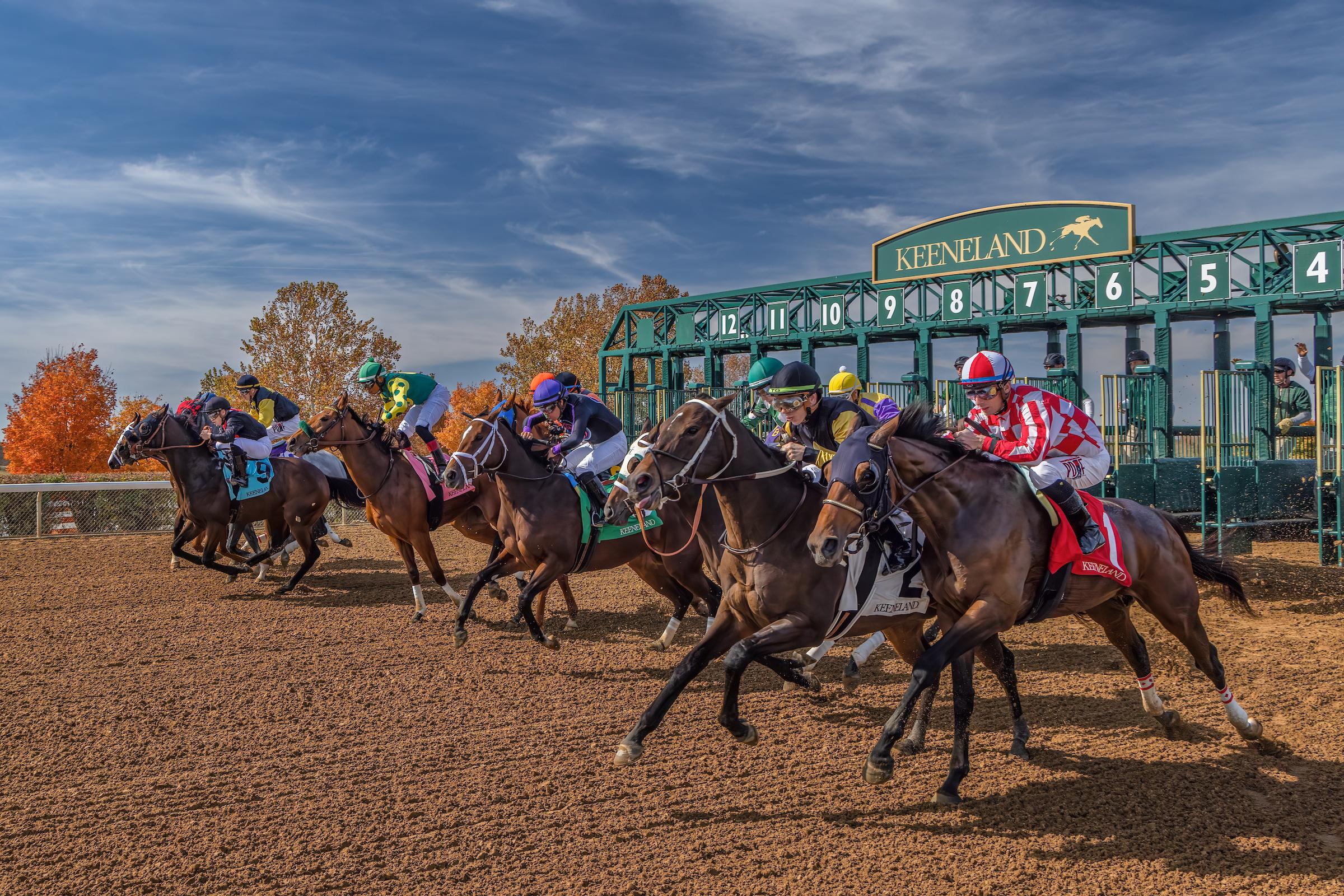 Keeneland Fall Meet 2024 Dates Shay Yelena   K 2022 FALL 047 